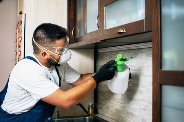Best Flea Control Services  in Holiday City South, NJ