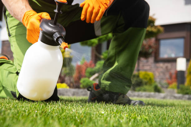 Best Exterminator Services  in Holiday City South, NJ
