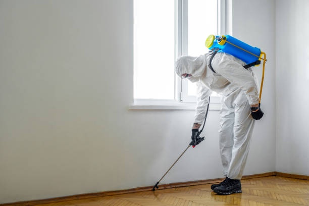Best Pest Control Near Me  in Holiday City South, NJ