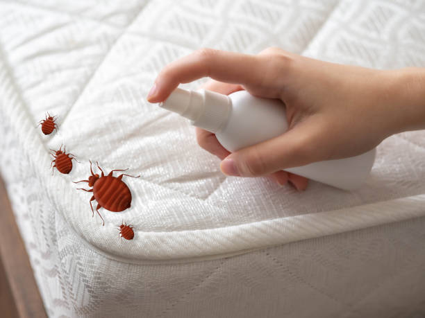 Best Affordable Pest Control Services  in Holiday City South, NJ